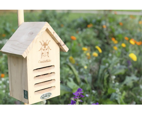 Trähus för nyckelpigor i trädgården