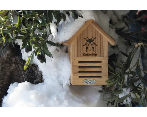 Trähus för nyckelpigor med dekoration i trädgården