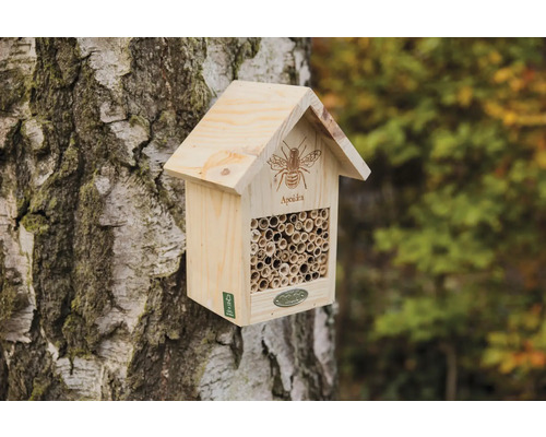 Bihotell i trä på en trädstam med rör som boplats