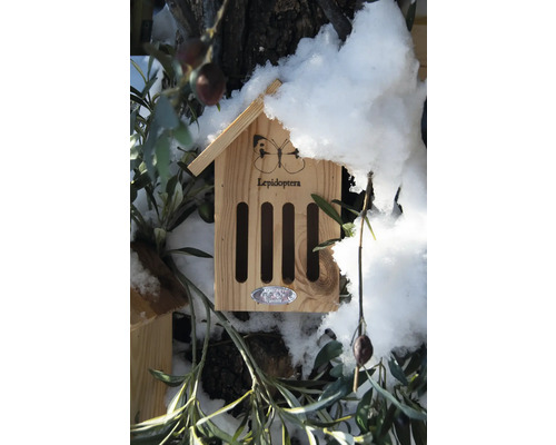 Insekthotell med fjärilsmotiv och ordet Lepidoptera delvis täckt av snö.
