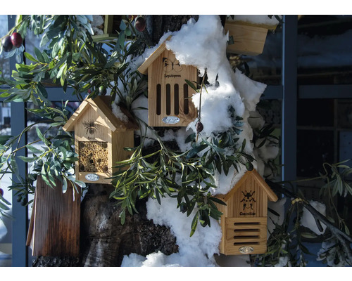 Flera insektshotell i trä på en trädstam med grenar och snö.