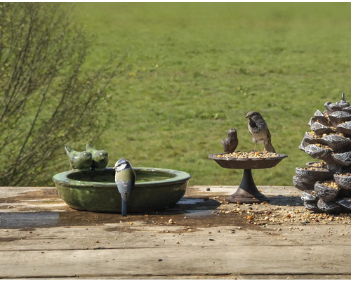 Scen med fågelbad, matningsplats och fåglar i trädgården