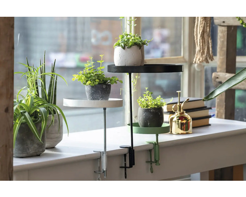 Dekorativa växtställ med bordsklämmor och krukväxter på en fönsterbräda.