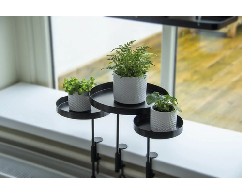 Dekorativa krukväxter på ett svart växtställ med klämmor för montering på fönsterbrädan.