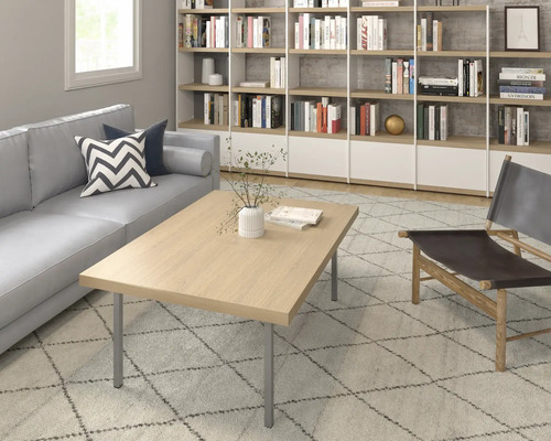 Vardagsrum med soffa, soffbord, bokhylla och matta