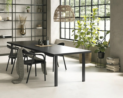 Matsal med matbord, stolar, hylla och krukväxter.