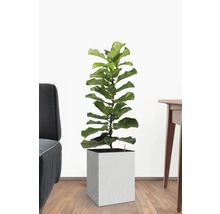 Självvattnande blomkruka Cubico Stone plast 27x27x42cm vit