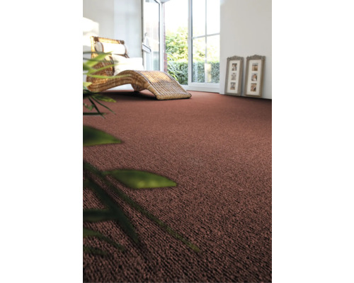 Rum med heltäckningsmatta, fönster och solstol