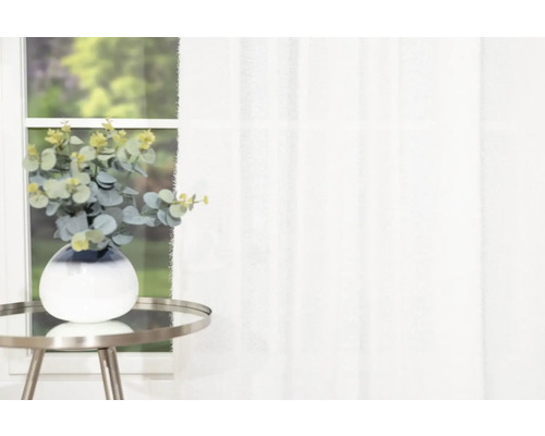 Eukalyptus i vas på sidobord framför fönster med gardin