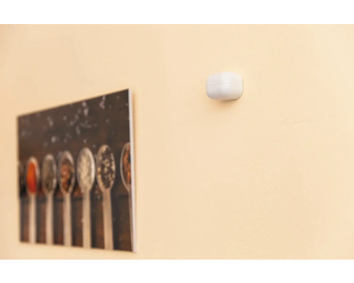 Vägg med brandvarnare och bild