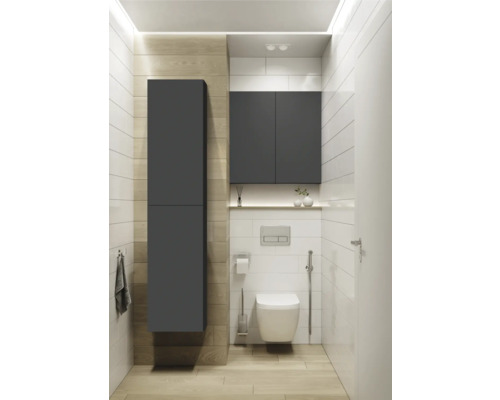 Modernt badrum med toalett, handfat och grå badrumsmöbler