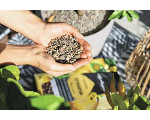 Händer håller lecakulor för markförbättring