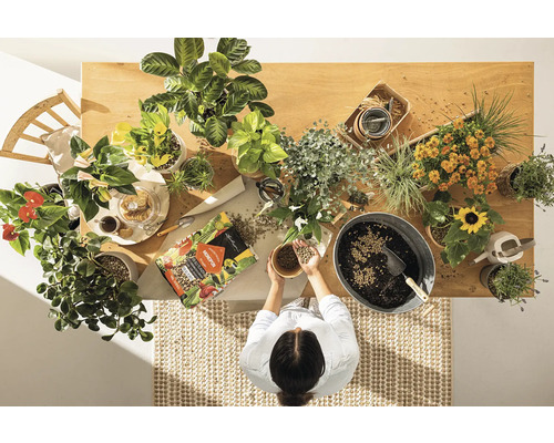 Toppvy av ett bord med olika krukväxter, planteringsjord och en person som planterar om växter.
