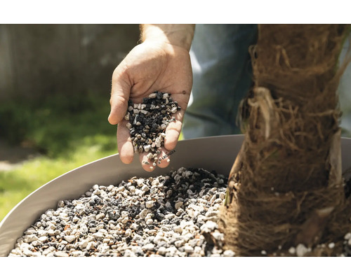 En hand häller växtgranulat i en planteringslåda till en växt.