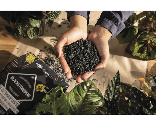 Händer håller Lechuza Blackstonepon växtgranulat bredvid krukväxter och en öppnad förpackning
