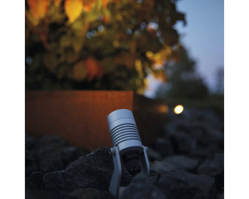 Trädgårdsscen med en enda markspotlight placerad på stenar