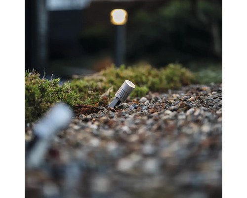 Trädgårdsscen med markstrålkastare för utomhusbelysning