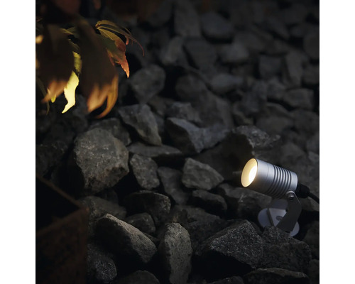 Trädgårdsscen med en silverfärgad markstrålkastare bland stenar.