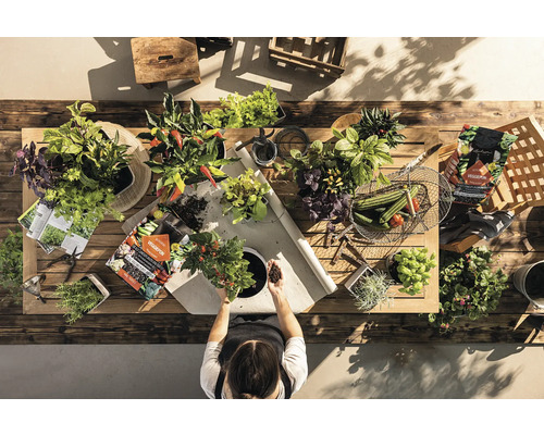 Översikt av ett trädgårdsbord med örter, grönsaker och en person som planterar om en växt. Trädgårdsscen med jord, planteringskärl och trädgårdsredskap.