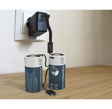 Två uppladdningsbara batterier med laddare i uttaget.