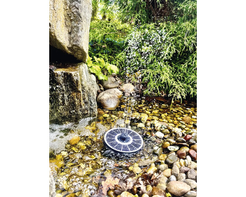 Soldriven fontän i trädgårdsdamm med stenar och växter.