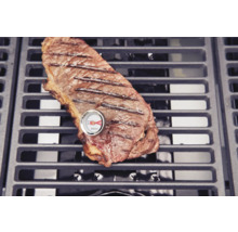 Grillad biff med kötttermometer på ett grillgaller