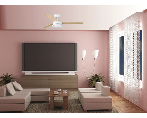 Vardagsrum med takfläkt, soffa, bord, TV och fönster