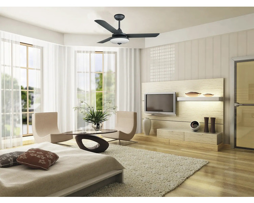 Ljust vardagsrum med takfläkt, TV och sittgrupp