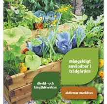 Hög rabatt planterad med grönsaker och blommor