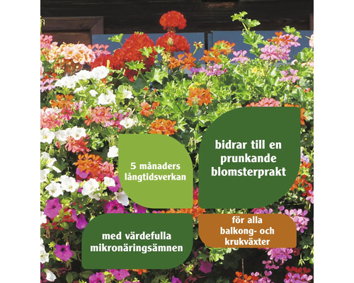 Överflödande blomsterprakt för balkong- och krukväxter med långtidseffekt i fem månader