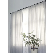 Fönster med transparenta gardiner och krukväxt