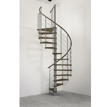 Spiraltrappa med metallräcke och trästeg