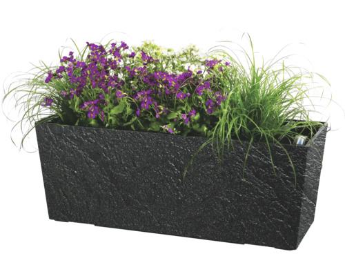 Rektangulär planteringslåda med lila och vita blommor