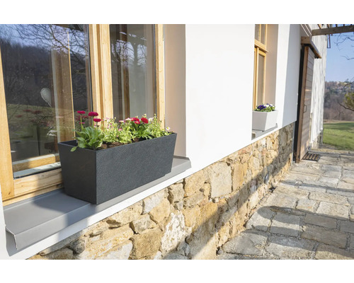 Blomlåda med blommor på fönsterbrädan