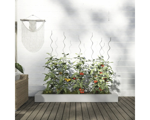 Hög trädgårdsbädd med tomatplantor och spaljéer framför en vit vägg