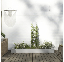 Balkongscen med blomlåda, klätterstöd och väggdekoration för en grön design