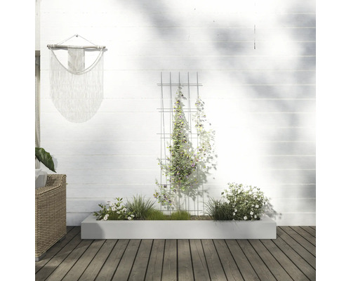 Scen med en planteringslåda, spaljé och väggdekoration utomhus.