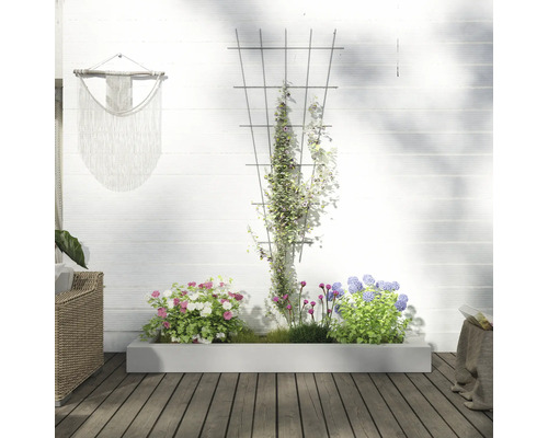 Scen med planteringslåda, klätterhjälp och växter framför en vit vägg
