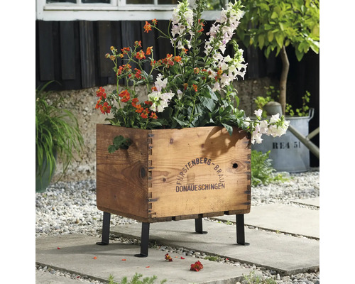 Trälåda som blomlåda med blommor på fötter i trädgården.