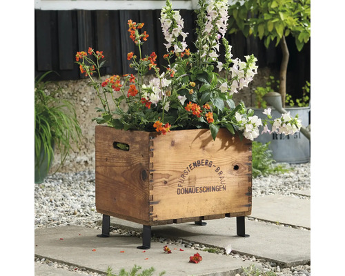 Blomlåda i trä med växter på fötter