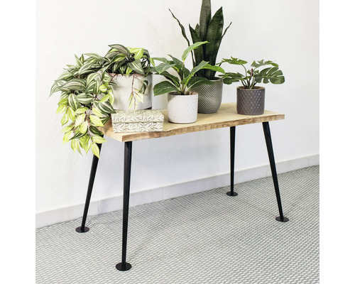 Dekorativt träbord med svarta metallben och olika krukväxter i krukor