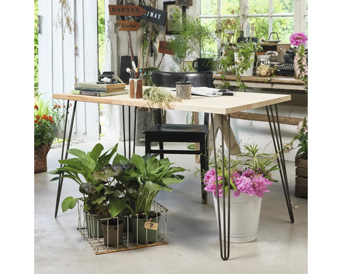 Ljust rum med ett träbord på svarta ben, dekorerat med växter och böcker