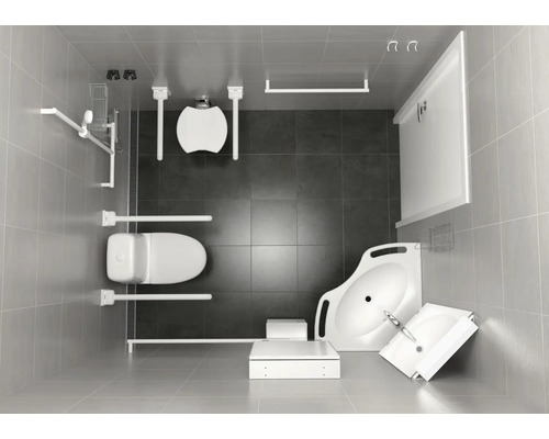 Översikt över ett handikappanpassat badrum med toalett, handfat och dusch med handtag