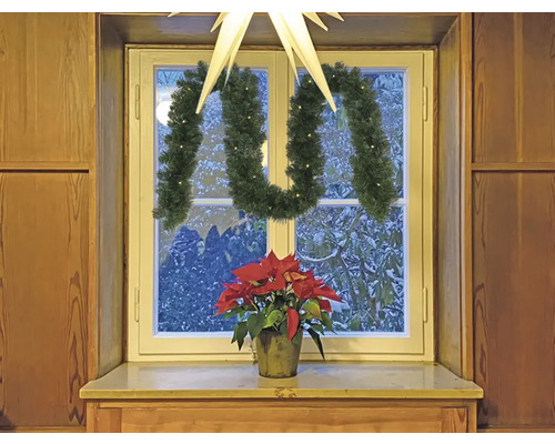 Dekorerat fönster med julstjärna, girlang och julstjärneblomma