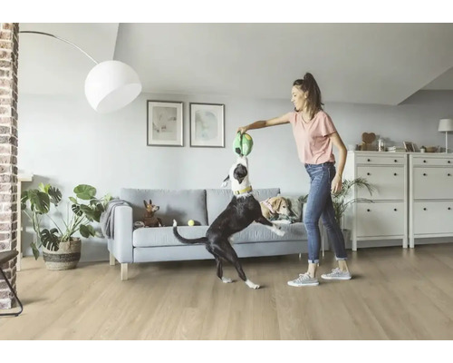 Kvinna leker med hundar i vardagsrummet med golv, soffa och förvaringsutrymme