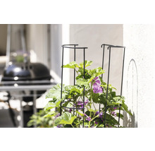 Spaljé FLORASELF 2-delad 125cm