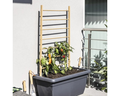 Hög planteringslåda med klätterställning i trä och grönsaksplantor samt trädgårdsredskap