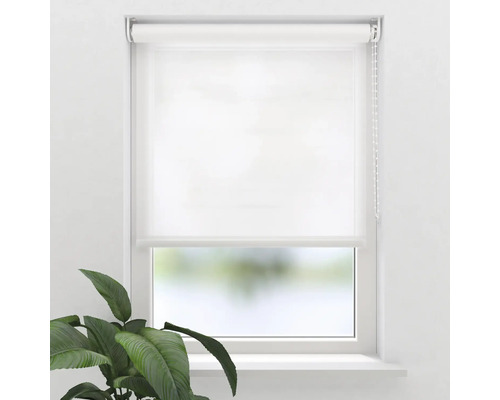 Fönster med vit rullgardin och kedjedrag