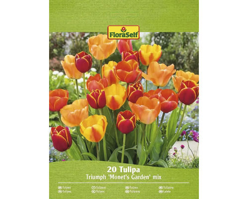 Blomsterlökar FLORASELF Tulpan 'Monet's Garden Mix' 20st