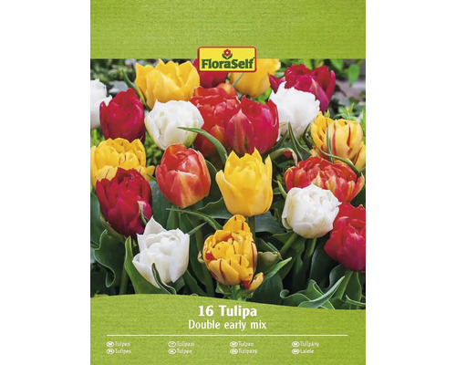 Blomlökar FLORASELF Tulpan Double early mix 16st